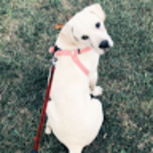 Meet your Posher, 2021victoria